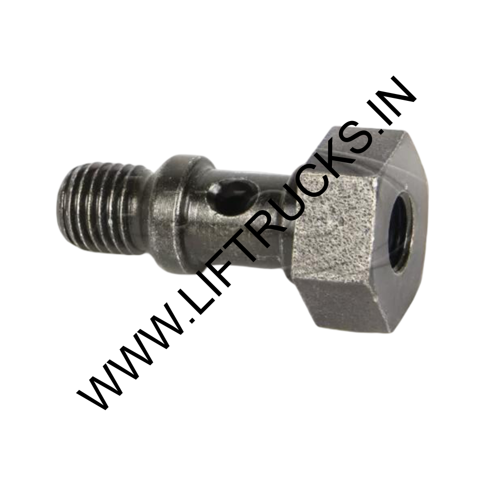 Fuel non-return valve bolt (SKU 20478064)