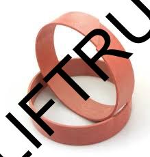 STEERING CYLINDER GALLEN PATTA GUIDE RING